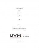 Proyecto Integrador - Avance 1