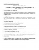 ENSAYO DE LA INCREÍBLE Y TRISTE HISTORIA DE LA CÁNIDA ERÉNDIRA Y SU ABUELA DESALMADA.