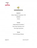 Análisis y Diagnóstico Organizacional - 4350 Actividad 1