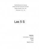 Ensayo de las 5s