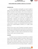 JUICIO CRITICO DE VALOR DE LA PELICULA “EL VUELO”