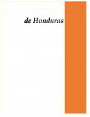 Ensayo sobre dolarizacion