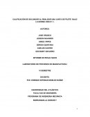 CALIFICACIÓN DE SOLDADOR AL REALIZAR UNA JUNTA DE FILETE BAJO LA NORMA AWS D1.1.