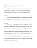 Las glándulas presentes en la piel son un conjunto de células epiteliales que son agrupadas en tres grupos; sebáceas, sudoríparas y ceruminosas.