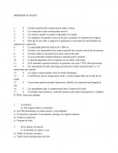 PREVENCIÓN DE RIESGOS PRIMEROS AUXILIOS