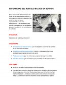 ENFERMEDAD DEL MUSCULO BALNCO EN BOVINOS