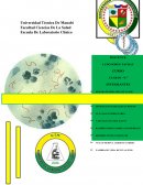 INVESTIGAR CUALES SON LAS BACTERIAS QUE OCASIONAN INFECCIONES EN LAS VÍAS URINARIAS.