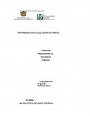 Estrategias de aprendizaje del modelo en línea