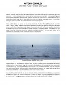 ANTONY GORMLEY ANOTHER PLACE + INSIDE AUSTRALIA