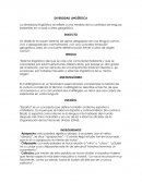 Conceptos importantes de diversidad linguistoca