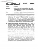 POLICIA NACIONAL DE PERU