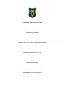 Ser reconocidos a nivel nacional como la Universidad Empresarial de Honduras, una Universidad de clase mundial, abierta y global