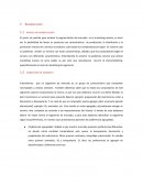 Segmentacion marketing de segmento