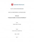 La gran Violencia familiar en contexto de resiliencia