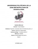 Preguntas y respuestas sobre la Fenilcetonuria parte I y II