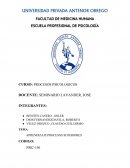 Educación vial para niños: Análisis de la enseñanza del semáforo en primaria