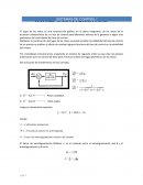 RAÍCES CARACTERÍSTICAS