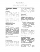 Reglesion_lineal