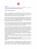 Triptico Cuatro efectos concretos que tendrá la construcción del muro