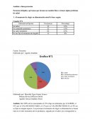 Análisis e Interpretación Encuesta dirigida a personas que desean un cambio físico o tienen algún problema de salud