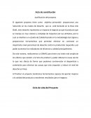 Acta de constitución Justificación del proyecto
