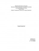 Fundamentos Teóricos de la Terapia Ocupacional