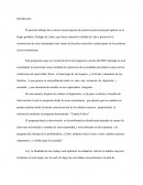 Intervención Psicosocial Implementación de la Propuesta