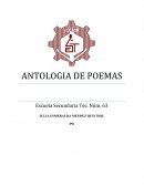ANTOLOGIA DE POEMAS. EL PASO DEL TIEMPO