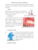 VARIEDADES DE ANESTESIA LOCOREGIONAL