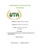 CASO HARVARD ROHM AND HASS (A): ESTRATEGIA DE MERCADO DE UN NUEVO PRODUCTO