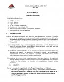 PLAN DE TERAPIA OCUPACIONAL