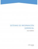 Identifique y describa el problema que se analiza en este caso. ¿Qué factores de administración, organización y tecnología contribuían al problema?