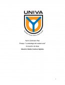 Ensayo: “La estrategia del océano azul”