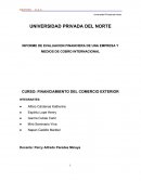 INFORME DE EVALUACION FINANCIERA DE UNA EMPRESA Y MEDIOS DE COBRO INTERNACIONAL