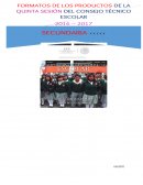 C. T. E. MARTÍNEZ HERNÁNDEZ LUIS IGNACIO