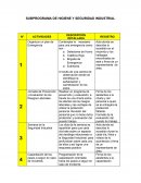 SUBPROGRAMA DE HIGIENE Y SEGURIDAD INDUSTRIAL