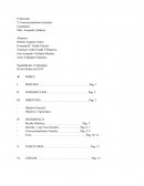 El Derecho Y Convencionalismos Sociales