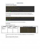 Captura de Datos Topología IPV4 sin IPSec