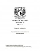 Especialidad en Derecho Constitucional