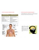 EFECTOS EN LA SALUD POR EL CONSUMO DE COCAINA EFECTOS EN LA SALUD POR EL CONSUMO DE MARIHUANA