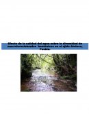 Efecto de la calidad del agua en la abundancia de macroinvertebrados
