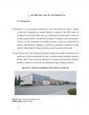 ESTUDIO DE CASO: EL QUITERIANO S.A.