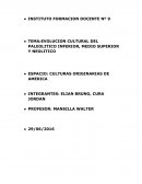 EVOLUCION CULTURAL DEL PALEOLITICO INFERIOR, MEDIO SUPERIOR Y NEOLITICO