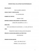 Las prácticas profesionales, realizadas en la empresa “Cargo Red Aduanera”