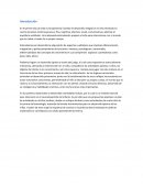 Neurodesarrollo aplicado en el juego