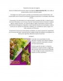 Tratamiento Avanzado de Imagenes