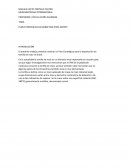 Plan estrategico de marketing para export