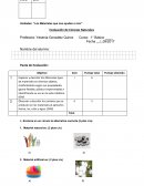 Los materiales que nos ayudan a vivir