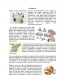 Recursoso humanos Distribución