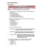 Actividad evaluaciones. Cortes del cuarto posterior de la canal bovina